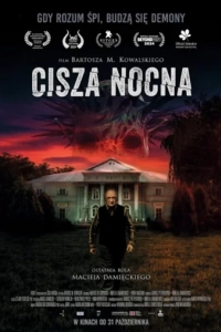 Ночная тишина